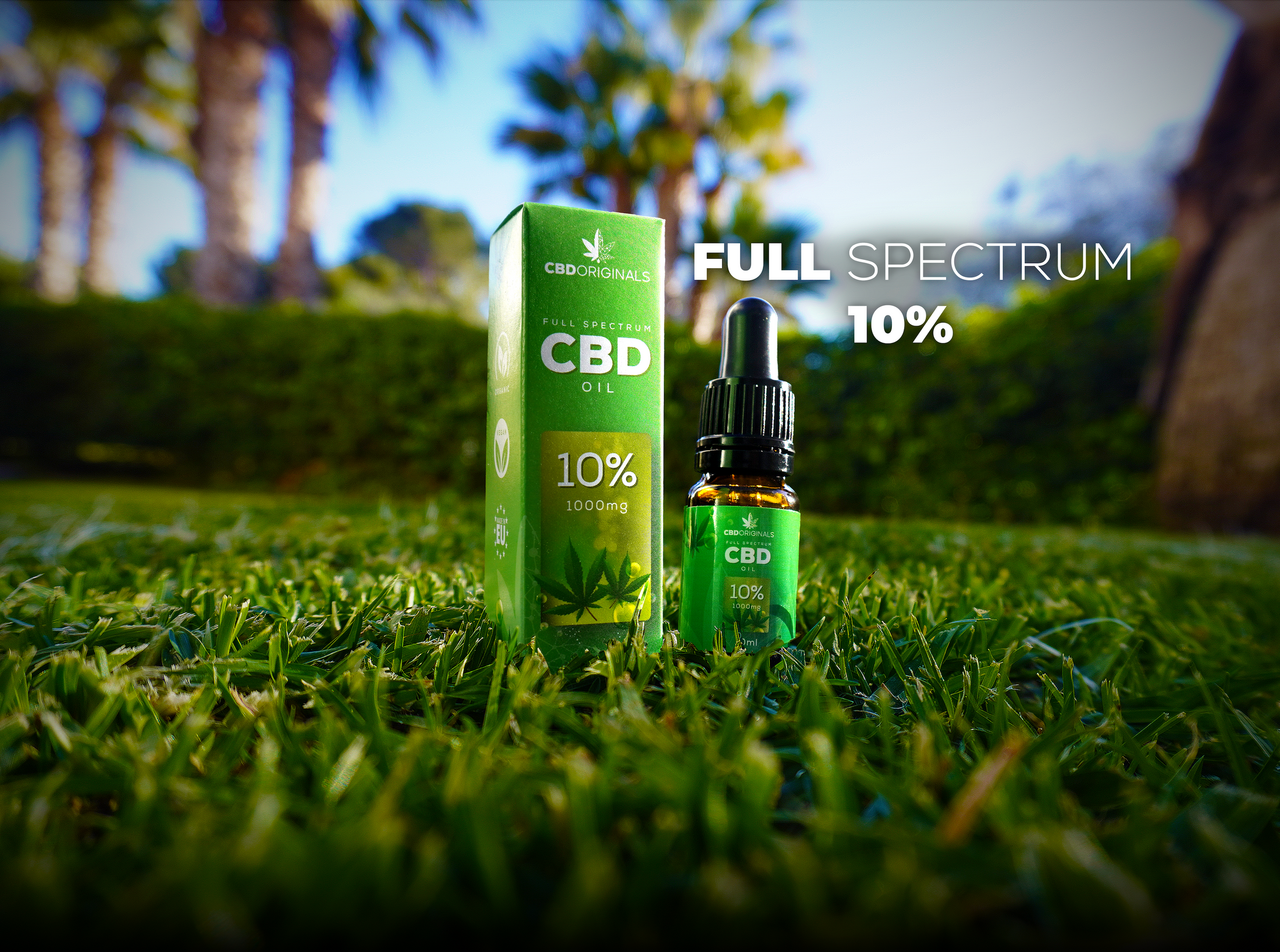CBD Oil 10% Full Spectrum